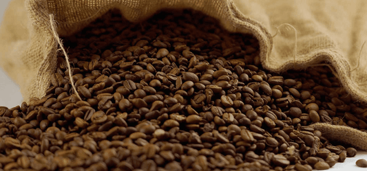 Brew Quality Coffee at Home with the Right Equipment - Merlo Coffee