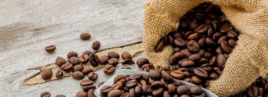 The complete history of coffee - Merlo Coffee