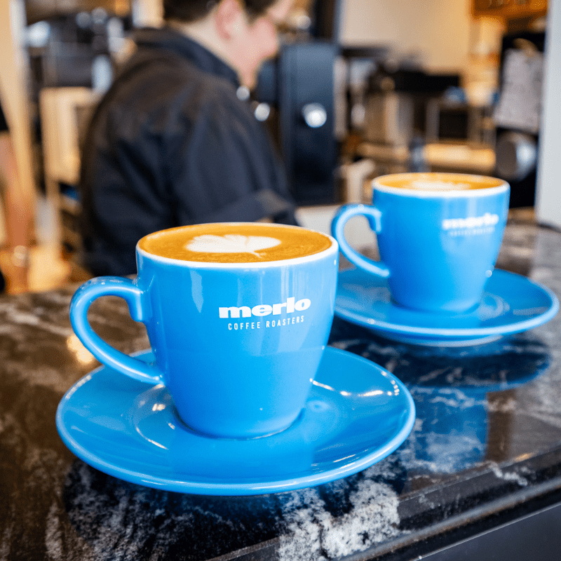 Ceramic Tulip Cup & Saucer Set (Black/Blue)