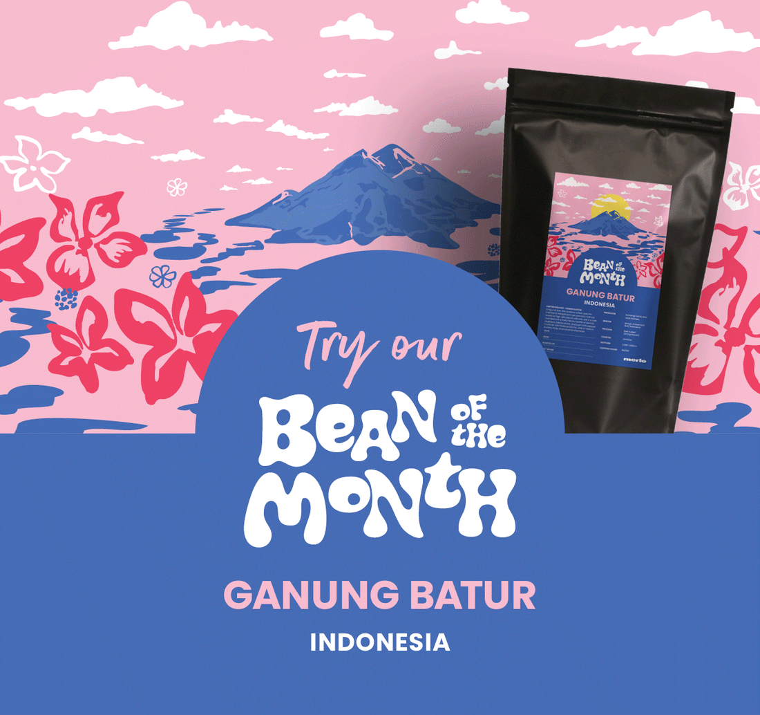 Premium Specialty Merlo Coffee Beans & Capsules in Australia