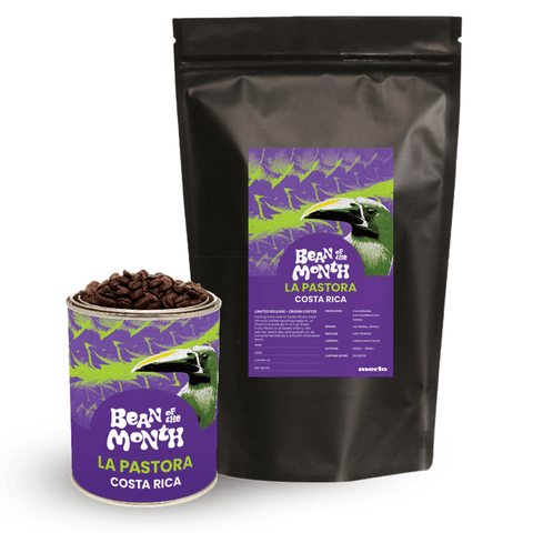 June Bean of the Month