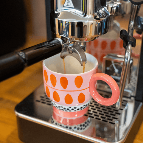 Watermelon Print Ceramic Coffee Mug