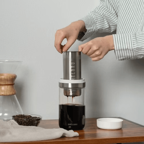 Shelbru Brew System 2.0